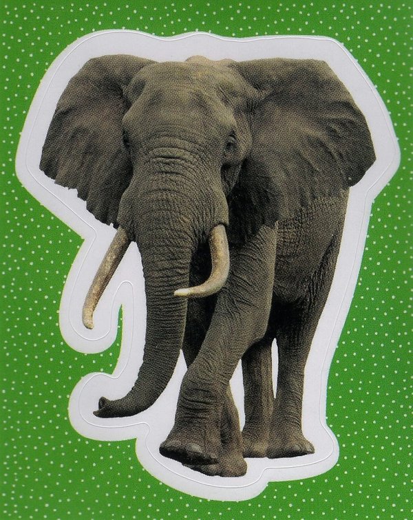 TOPPS [National Geographic Kids Wilde Tiere] Sticker Nr. 005