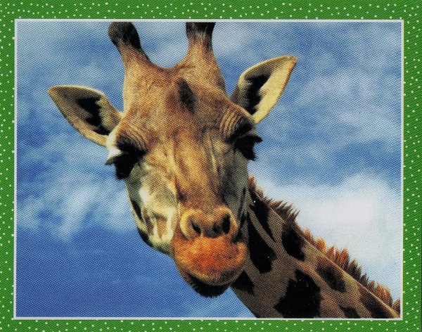 TOPPS [National Geographic Kids Wilde Tiere] Sticker Nr. 012