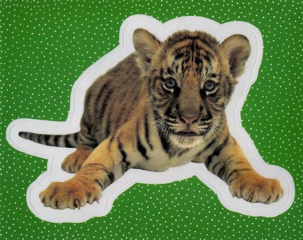 TOPPS [National Geographic Kids Wilde Tiere] Sticker Nr. 024