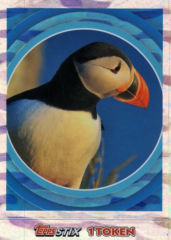 TOPPS [National Geographic Kids Wilde Tiere] Sticker Nr. 051