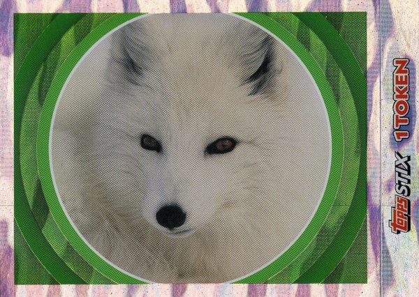 TOPPS [National Geographic Kids Wilde Tiere] Sticker Nr. 060