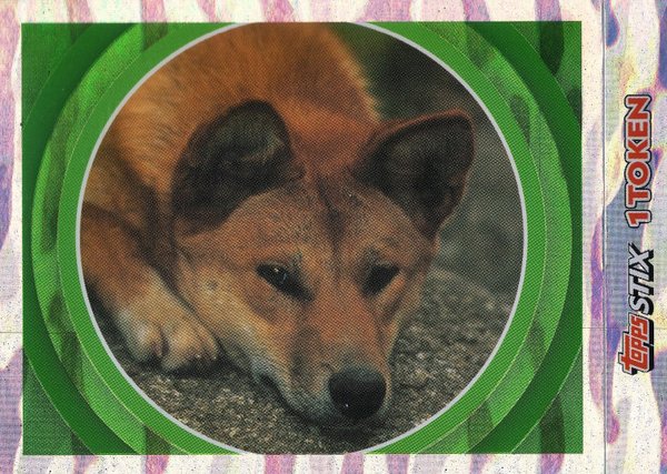 TOPPS [National Geographic Kids Wilde Tiere] Sticker Nr. 076