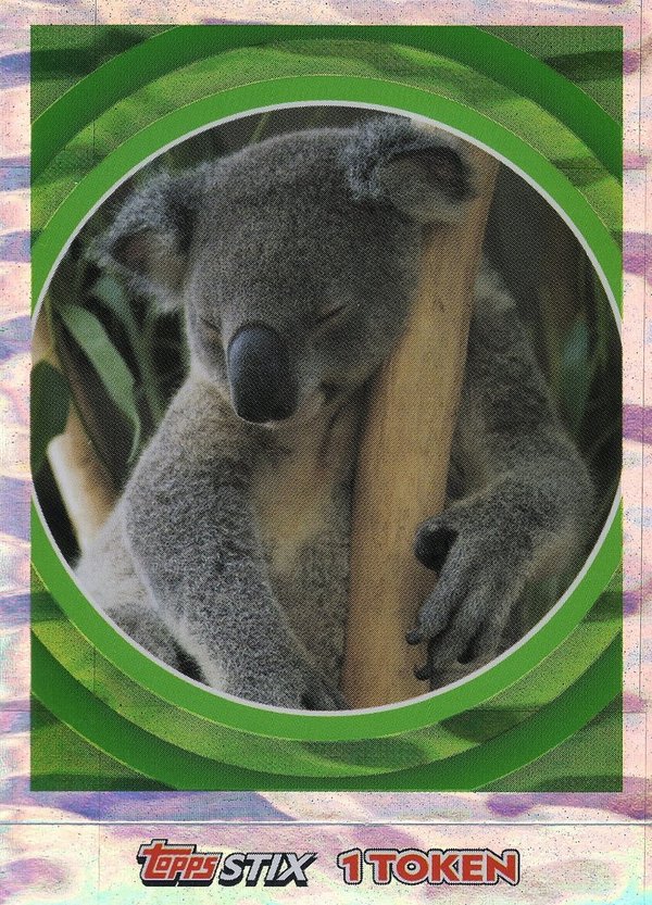 TOPPS [National Geographic Kids Wilde Tiere] Sticker Nr. 078