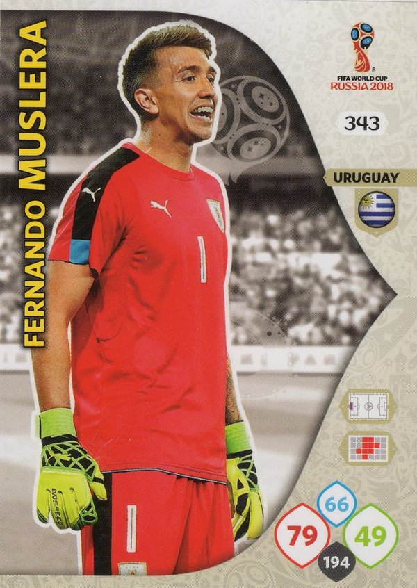 PANINI [FIFA World Cup Russia 2018 Adrenalyn XL] Trading Card Nr. 343
